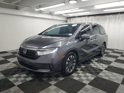 2024 Honda Odyssey EX-L