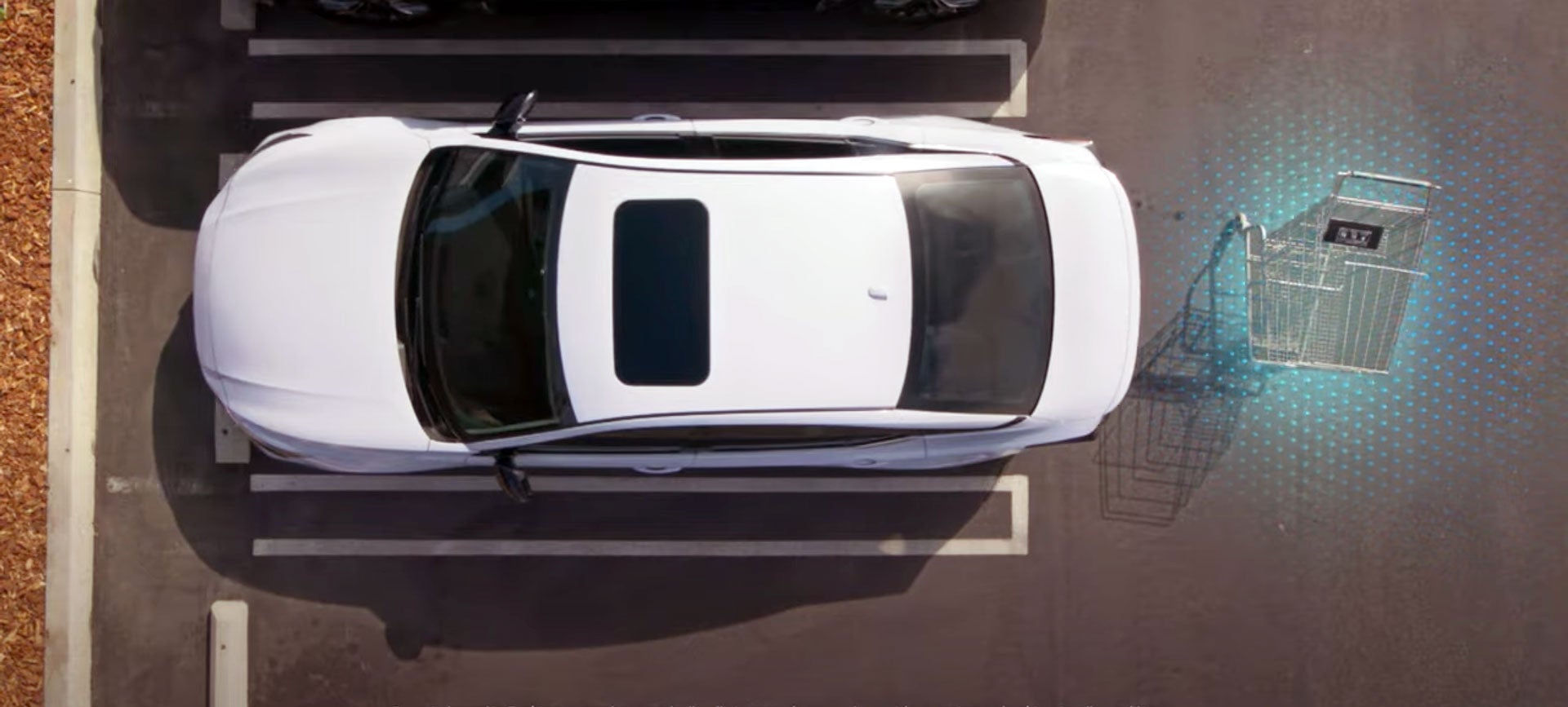 Coral Springs Nissan in Coral Springs FL